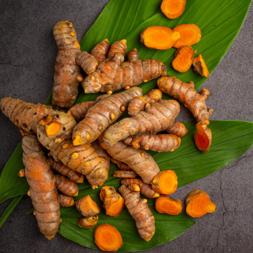 Raw Turmeric Exporter from India - VISION GLOBAL TRADE